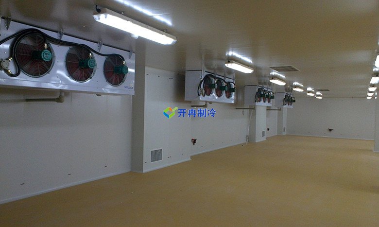 安裝10000m3生鮮物流冷藏庫(kù)（低溫倉(cāng)庫(kù)）建設(shè)廠家收費(fèi)標(biāo)準(zhǔn)